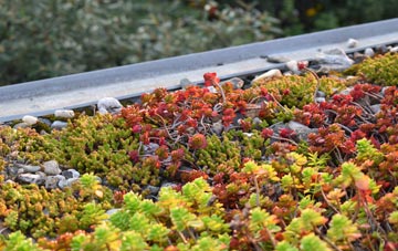 the cost of Penston green roof installation