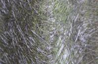 Penston fibreglass roof work